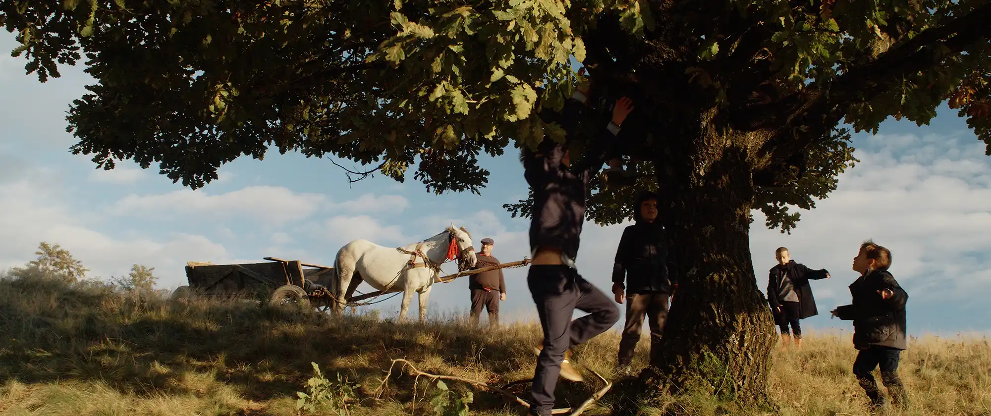 Buggy ride, children are playing around a tree